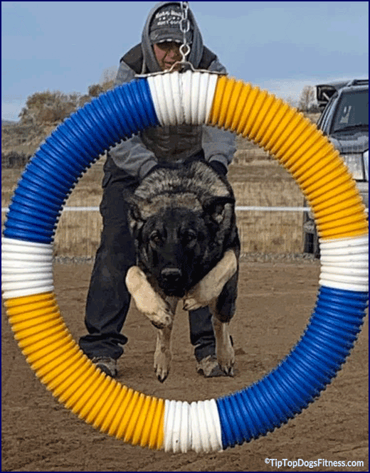 JRT Fitness and Conditioning