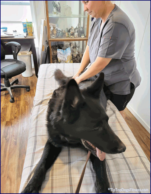 JRT Fitness and Conditioning